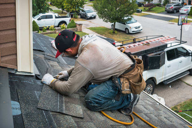 Professional Storm Damage Roof Repair technician working in Williamstown, KY